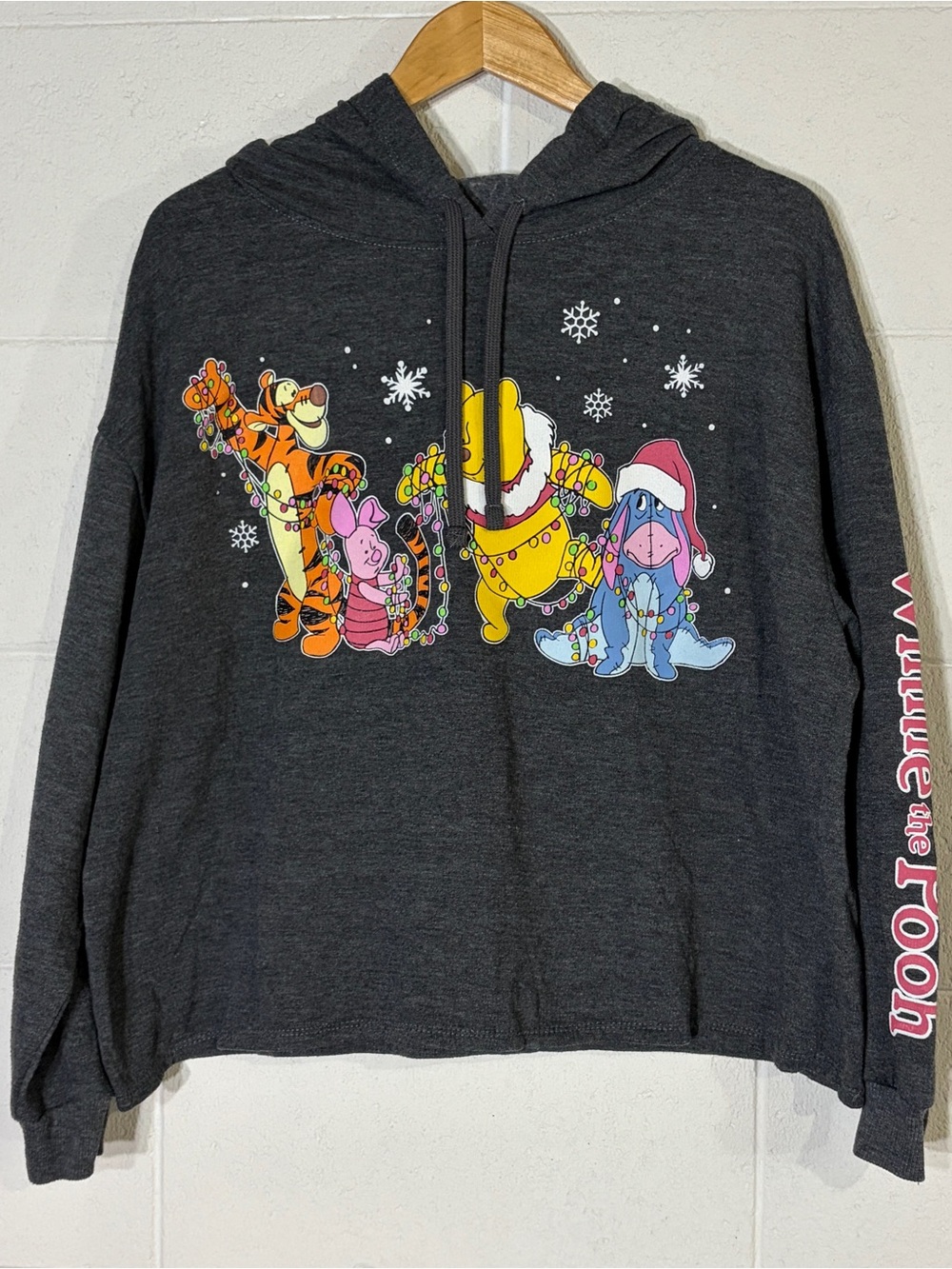 Disney Winnie the Pooh Gray Pullover Hoodie Sweatshirt, Adult Size L